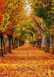 فصل پاییز
