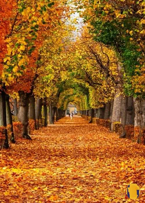 فصل پاییز