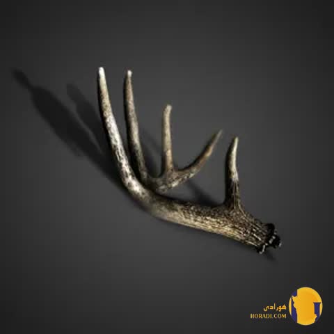 دانلود آهنگ دار (داستان مریم) علی سورنا + متن آهنگ