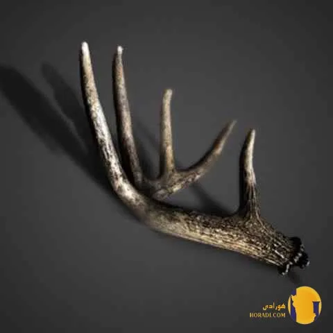 دانلود اهنگ علی سورنا + متن اهنگ