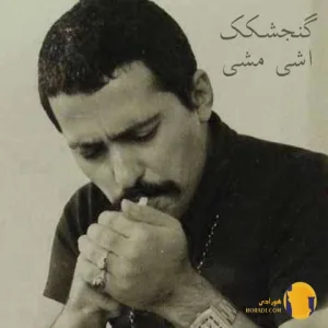 دانلود اهنگ گنجشکک اشی مشی فرهاد + متن آهنگ