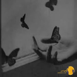 دانلود اهنگ دیر کردی ببین از ز