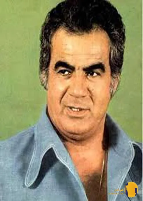 ناصر ملک مطیعی