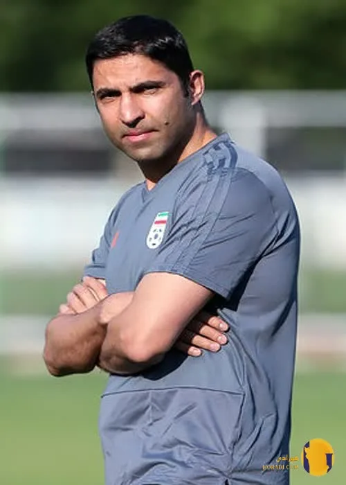 وحید هاشمیان