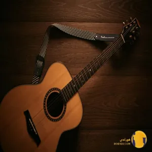 دانلود اهنگ ندونسته دلم به غریبه سپردم + متن اهنگ