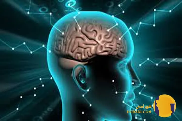 چگونه ذهن تان را برای موفقیت برنامه ریزی کنید؟