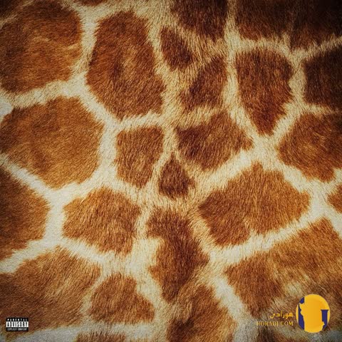 دانلود آهنگ Pretend پابلو + متن آهنگ