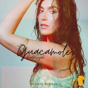 دانلود اهنگ گواکاموله (Guacamole) سیجل و دیاتا + متن آهنگ