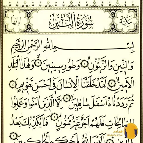 سوره التین با ترجمه فارسی + متن کامل و صوت