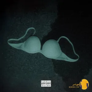 دانلود آهنگ I Let Hoes Go سیا + متن آهنگ