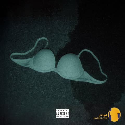 دانلود آهنگ I Let Hoes Go سیا + متن آهنگ