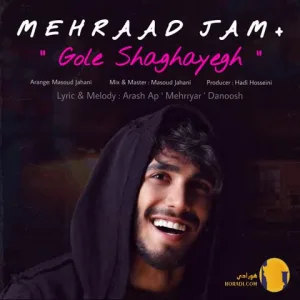 دانلود آهنگ گل شقایق مهرادجم + متن اهنگ
