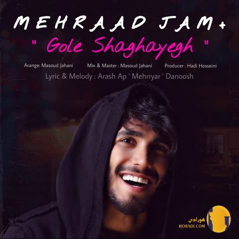 دانلود آهنگ گل شقایق مهرادجم + متن اهنگ