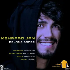 دانلود آهنگ دلمو بردی مهرادجم + متن اهنگ