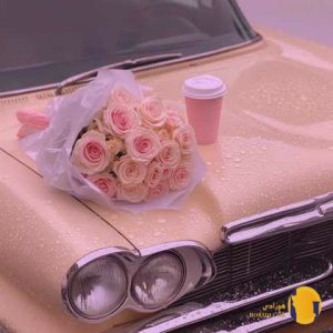 دانلود اهنگ بله برونه + متن اهنگ