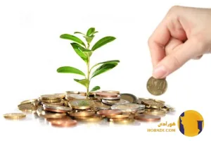 چگونه درآمد آنلاین خود را در 3 ماه دو برابر کنیم؟