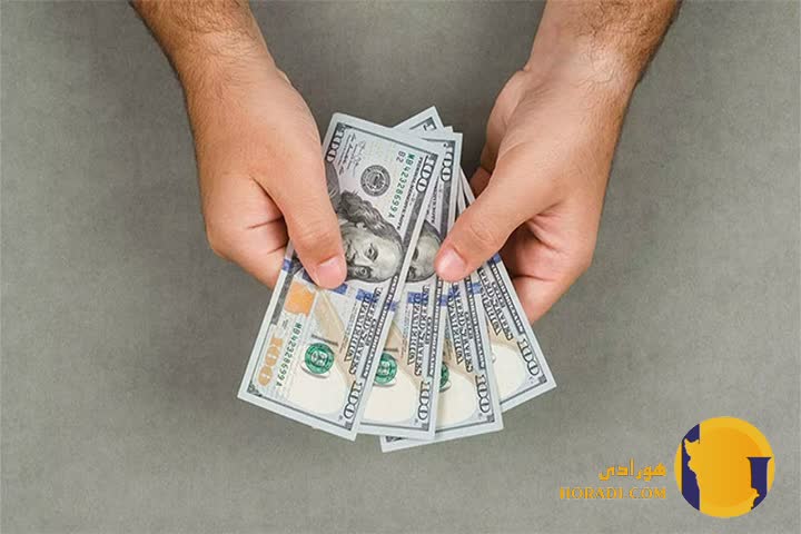 درآمد دلاری با فروش محصولات دیجیتال نکات کلیدی