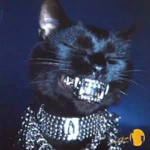 دانلود اهنگ یه چیزی تو هواس پوبون + متن اهنگ