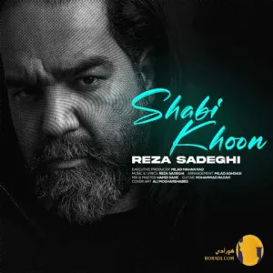 دانلود آهنگ شبیخون رضا صادقی + متن آهنگ