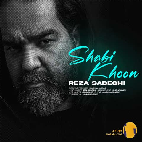 دانلود آهنگ شبیخون رضا صادقی + متن آهنگ