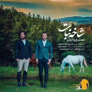 دانلود آهنگ شاخ نبات آرش ای پی + متن آهنگ