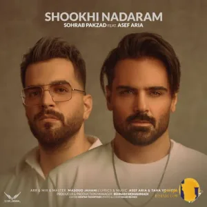 دانلود آهنگ شوخی ندارم سهراب پاکزاد + متن آهنگ