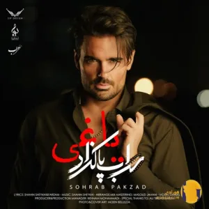دانلود آهنگ یاغی سهراب پاکزاد + متن آهنگ