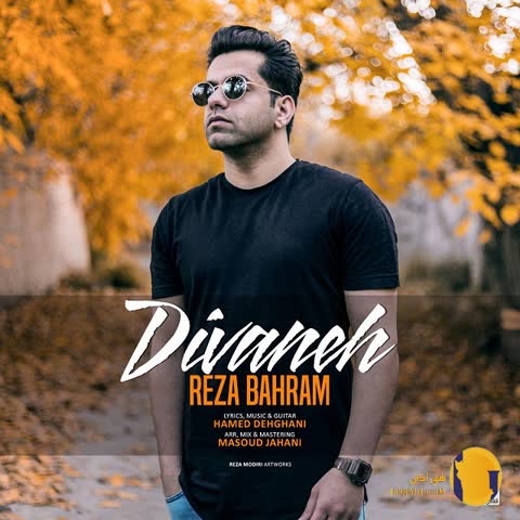 دانلود اهنگ دیوانه رضا بهرام + متن اهنگ