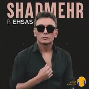 دانلود آهنگ بی احساس شادمهر عقیلی + متن آهنگ