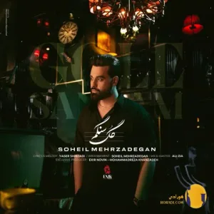 دانلود آهنگ گل سنگم سهیل مهرزادگان + متن آهنگ