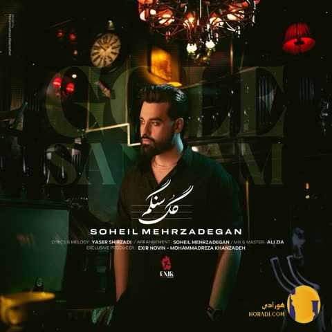 دانلود آهنگ گل سنگم سهیل مهرزادگان + متن آهنگ