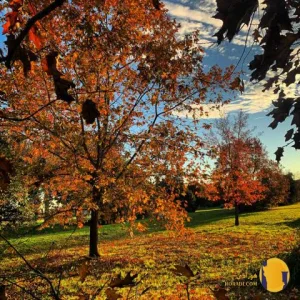 دانلود اهنگ دوباره عشق مرتضی + متن اهنگ