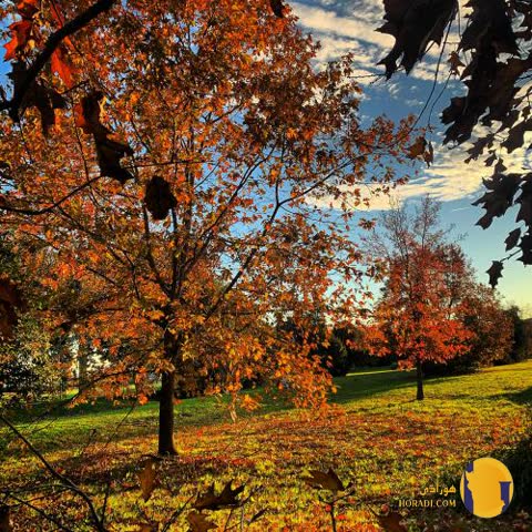 دانلود اهنگ دوباره عشق مرتضی + متن اهنگ