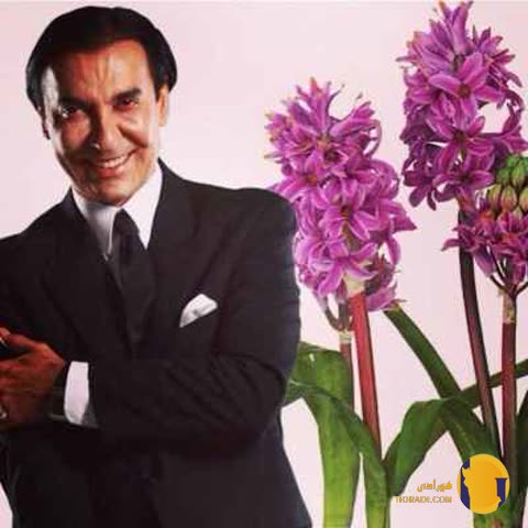 دانلود اهنگ کمر باریک فرامرز آصف + متن اهنگ