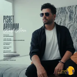 دانلود اهنگ پیشت ارومم آصف آریا + متن اهنگ