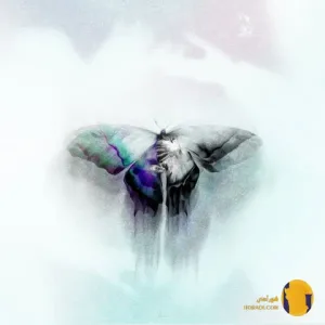 دانلود اهنگ یه جا بهتر جیدال سینجیم + متن اهنگ