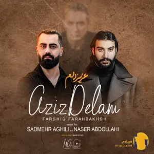 دانلود اهنگ عزیز دلم ناصر عبدالهی و شادمهر عقیلی + متن اهنگ