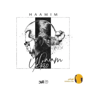 دانلود آهنگ یکیو دارم حامیم + متن آهنگ