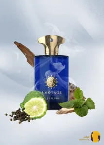 آموآژ اینترلود مردانه (Amouage Interlude Man)