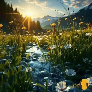 دانلود اهنگ چیشده شده دلت تنگ تکست دادی تا اون ولت کرد + متن اهنگ