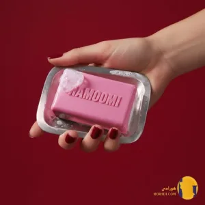 دانلود اهنگ همونی مهراد هیدن و نوا + متن اهنگ