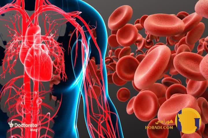 کم خونی چیست؟ علائم انواع و روش های درمان