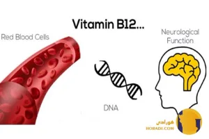کمبود ویتامین B12 چیست؟ علائم اثرات و درمان