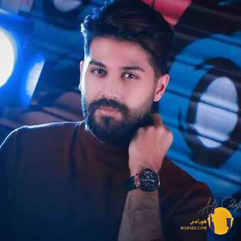 دانلود اهنگ لیلا بانو علی صدیقی + متن اهنگ