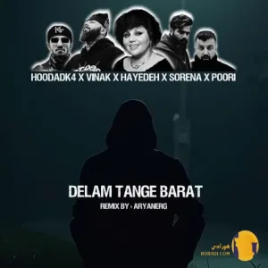 دانلود ریمیکس من دلم تنگه برات هایده و سورنا و پوری و ویناک + متن آهنگ