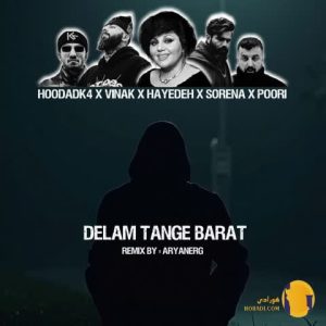 دانلود ریمیکس من دلم تنگه برات هایده و سورنا و پوری و ویناک + متن آهنگ