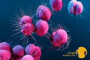 سوزاک در مردان چیست؟ علائم عوارض و روش های درمان