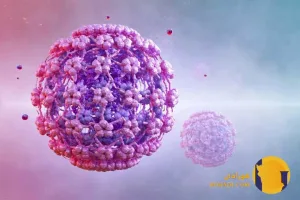 HIV چیست؟ علائم اولیه راه های انتقال و درمان