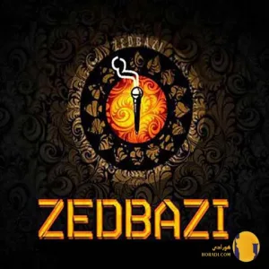 دانلود اهنگ پارتی زدبازی + متن اهنگ