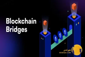 معرفی پروژه های بلاک چین آموزشی